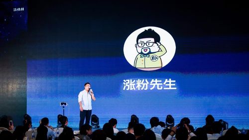 粉赞自助网站,高效获取粉丝的必选工具