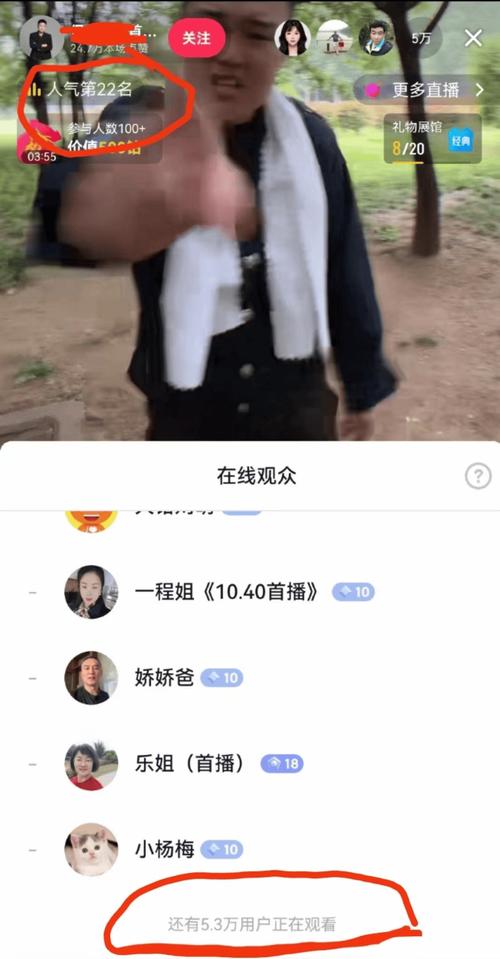 高频使用快手挂假人自助下单平台与微信支付的自定义评论功能，以及抖音作品的合理使用