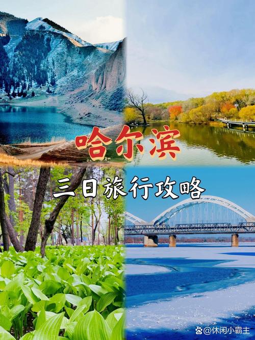 哈尔滨网络优化指南,让游子的心动旅程更轻松