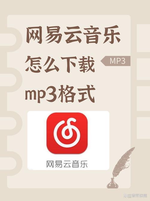 豆豆荚电脑版下载指南,让音乐成为你的音乐播放器
