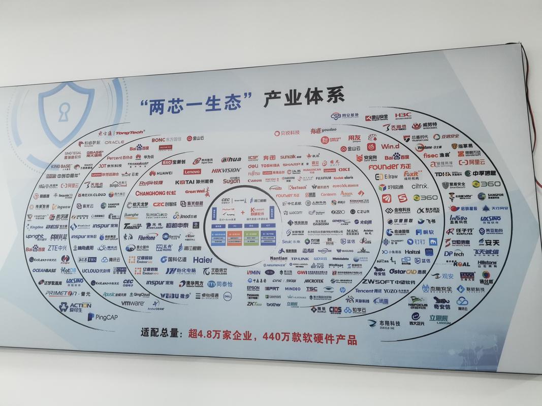 网络制作,互联网内容的未来