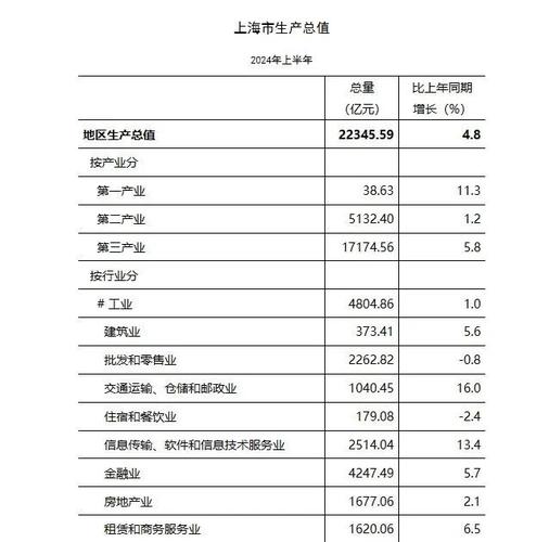 上海网络市场,机遇与挑战解析