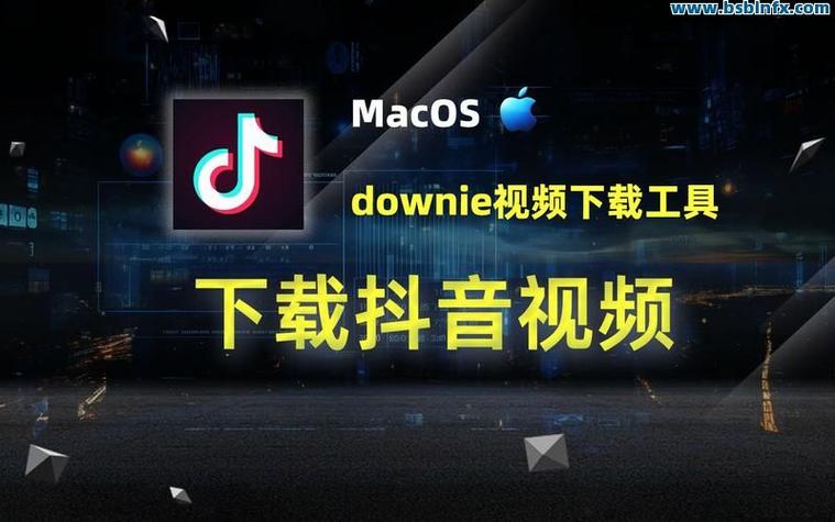 抖音刷播放，高效获取免费资源，助力轻松提升观看次数！
