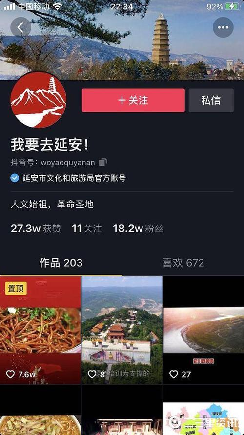 抖音僵尸粉Random刷屏平台，KTV刷一千万涨粉！