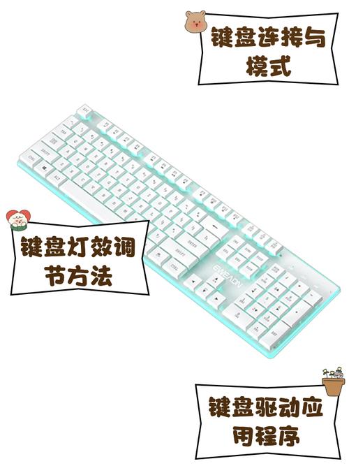 键盘与独立显卡,现代电脑的实用指南