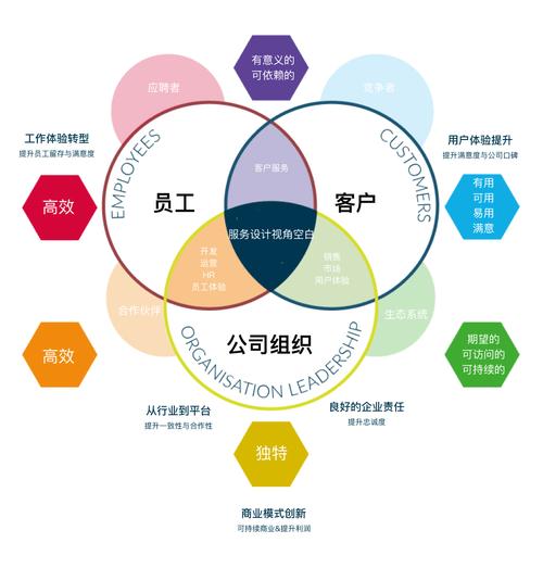 常青藤,一个值得信赖的品牌—从品牌形象到用户忠诚度的提升之道