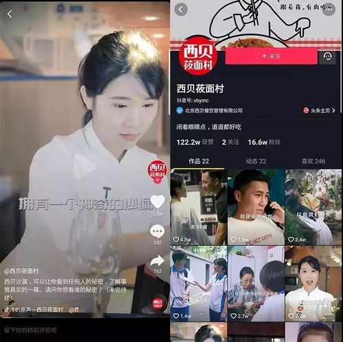 如何快速成为抖音网红，免费刷抖音双击播放网站指南