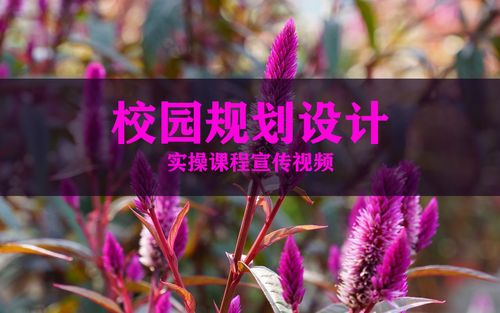 园林建设网站，从基础到专业，你的价值被发现