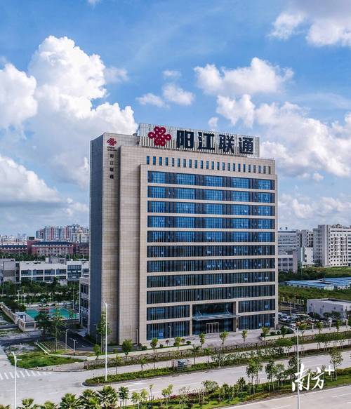 阳江最大网络优化，助力数字经济的崛起