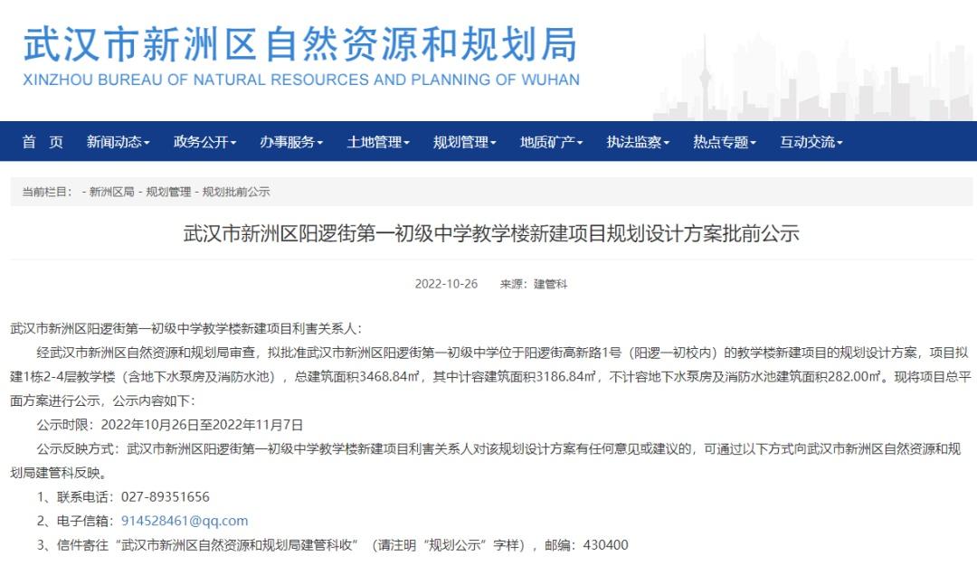新洲营销型网站建设指南