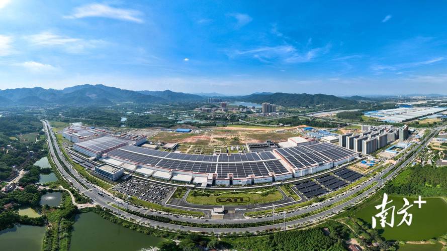 肇庆，数字时代的城市机遇与专业建设