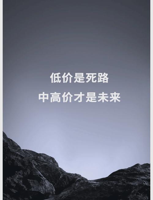 醉 driving 网络营销的价格策略,价格,网络营销的隐藏力量