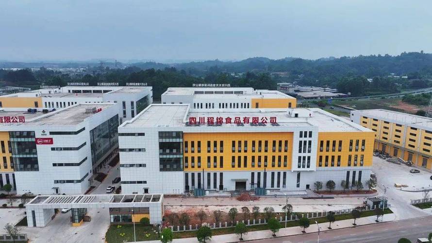 乐山网站建设推荐,让企业展现风采,提升品牌价值