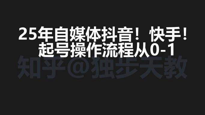 快手秒评论软件 抖音快手 qq业务 微信支付 作者，自媒体作者