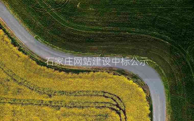 新城石家庄网站建设指南