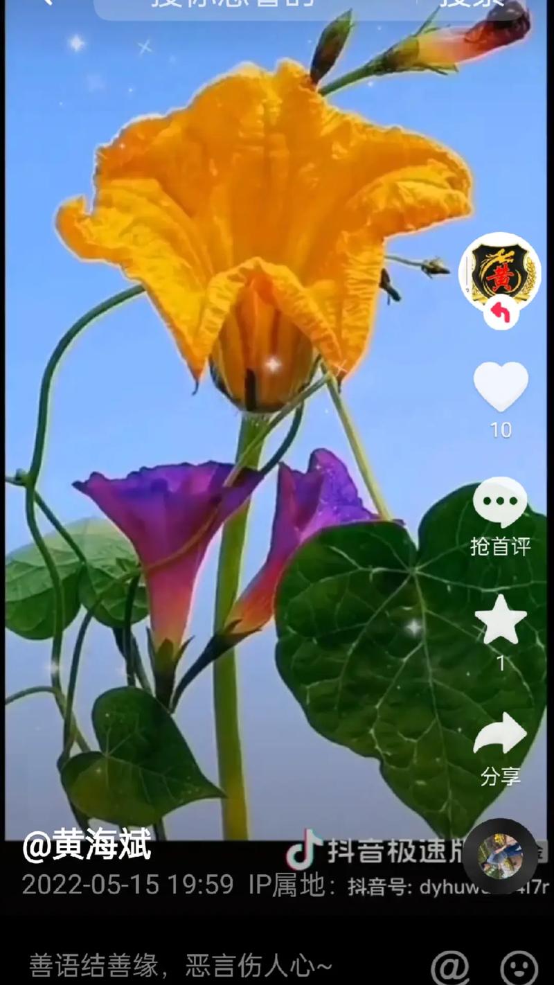 如何在抖音成功推广小雨DY KS 灌粉网站