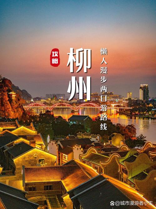 柳城网站建设指南，柳州市现代 city website construction