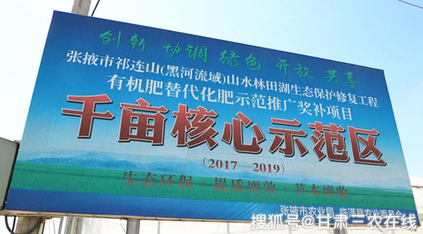 张掖网络推广技巧全解析