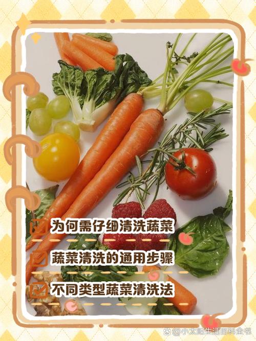 电脑上蔬菜操作指南,轻松管理你的生活