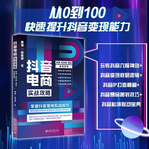 抖音粉丝高效获取销售信息指南,从零到百的快速崛起之路