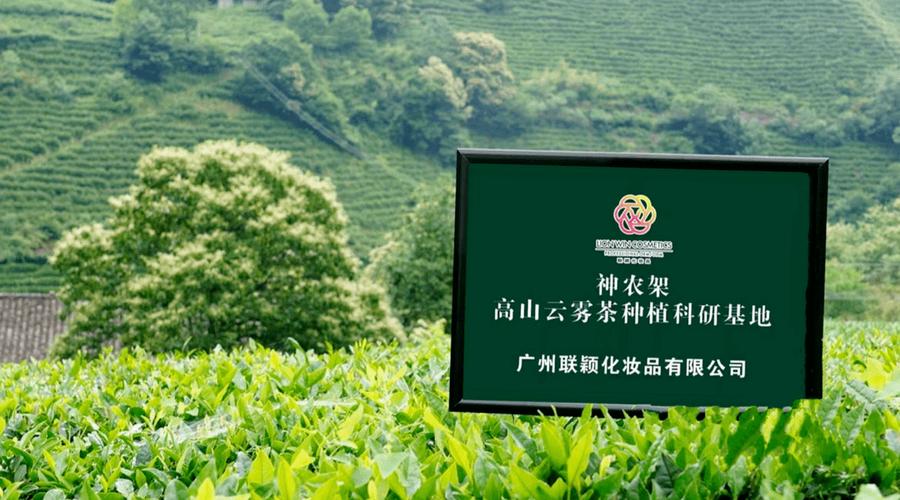 神农架网络公司,助力您的网络优化与内容营销,助您轻松上马