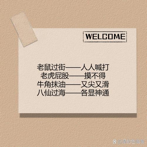 网络和网站的区别，一个有趣的比喻