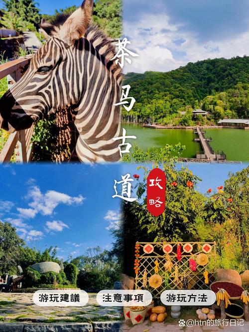 普洱旅游,一场独特的文化之旅