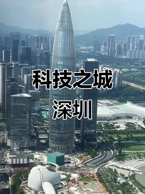 深圳商科,你的选择,你的未来