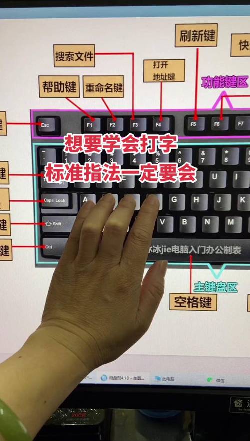 键盘指法练习与笔记本电脑拆机指南
