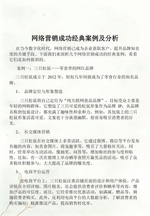 网络直接营销，成功 strategies 的指南