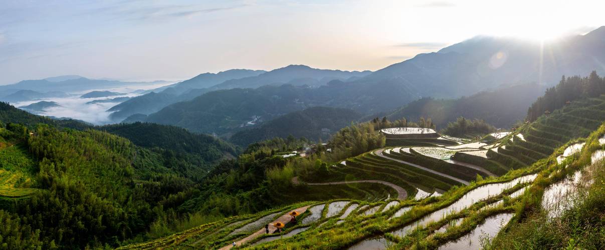 遂川网站建设指南，让遂川成为你的网站 destination