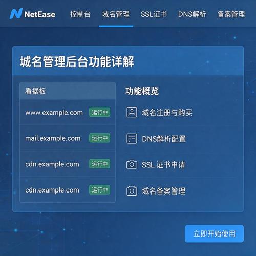 解析网络中心域名，企业如何高效管理？